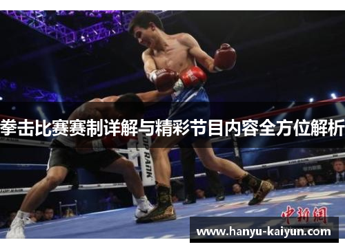 拳击比赛赛制详解与精彩节目内容全方位解析