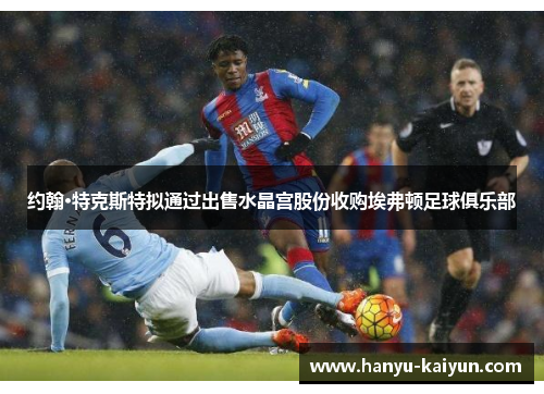 约翰·特克斯特拟通过出售水晶宫股份收购埃弗顿足球俱乐部